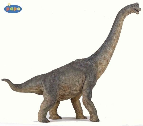 3465000550301-dinosaure---brachiosaure