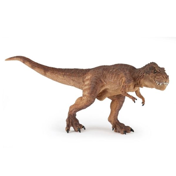 3465000550752-dinosaure---t-rex-courant-marron