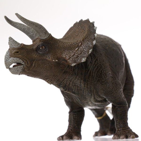 3465000550028-dinosaure---triceratops