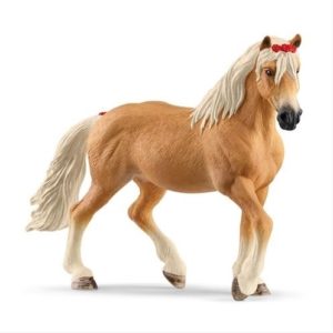 4059433557472-jument-haflinger