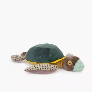 3575677190295-grande-tortue---tout-autour-du-monde