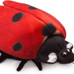 638348031488-marionnette-cycle-de-la-coccinelle