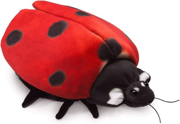 638348031488-marionnette-cycle-de-la-coccinelle