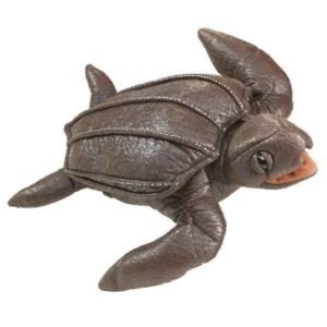 638348029201-marionnette-tortue-de-mer