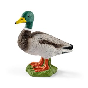 4059433025544-canard