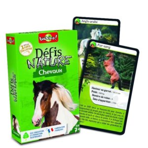 3569160282611-defis-nature---chevaux