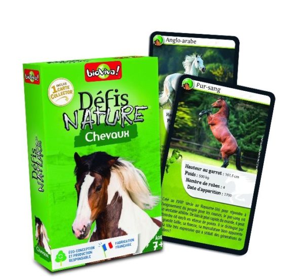 3569160282611-defis-nature---chevaux