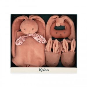 3666502180120-mon-premier-coffret-de-naissance-lapinoo---terracotta