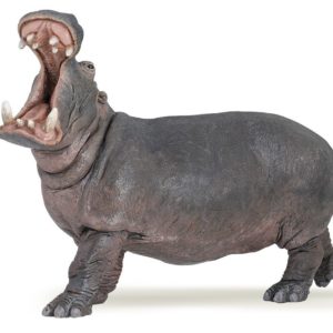 3465000500511-hippopotame