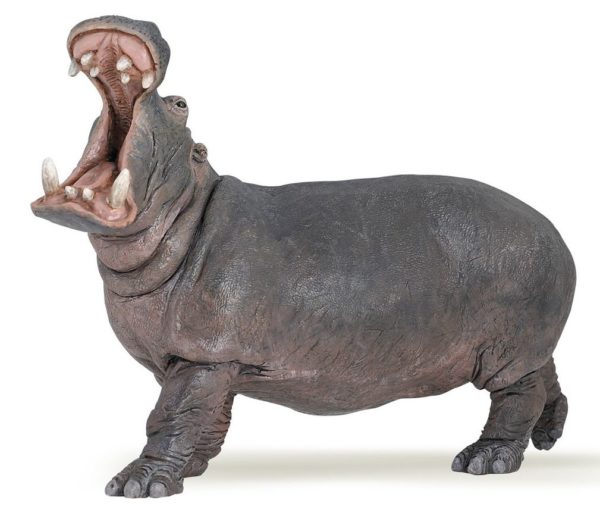 3465000500511-hippopotame