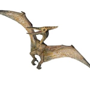 3465000550066-pteranodon