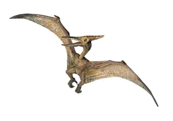 3465000550066-pteranodon