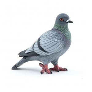 3465000502959-pigeon