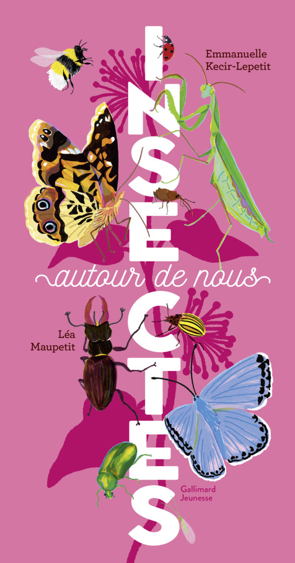 9782075194228-insectes-autour-de-nous