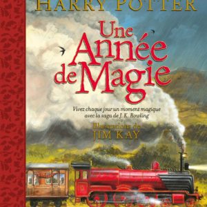 9782075174053-harry-potter---une-annee-de-magie