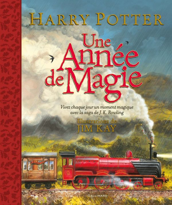 9782075174053-harry-potter---une-annee-de-magie