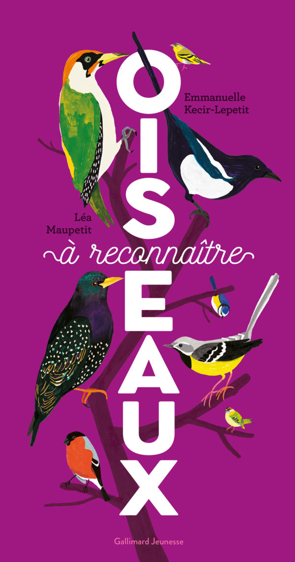 9782075169820-oiseaux-a-reconnaitre