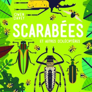 9782075108232-scarabees-et-autres-coleopteres