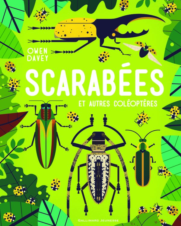 9782075108232-scarabees-et-autres-coleopteres