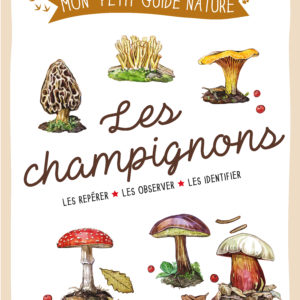 9782815315630-les-champignons