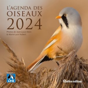 9782815320993-lagenda-des-oiseaux-2024