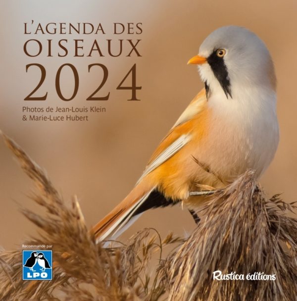 9782815320993-lagenda-des-oiseaux-2024