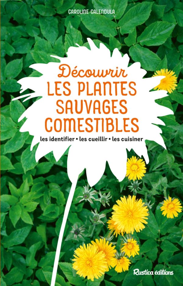 9782815319614-decouvrir-les-plantes-sauvages-comestibles