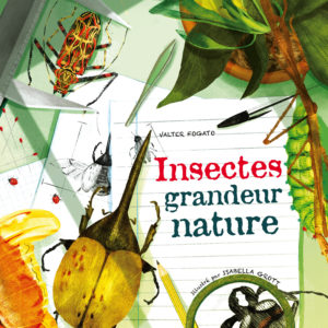 9782815316644-insectes-grandeur-nature