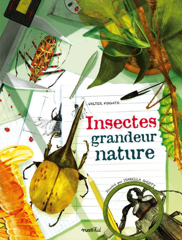 9782815316644-insectes-grandeur-nature