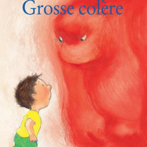 9782211061773-grosse-colere