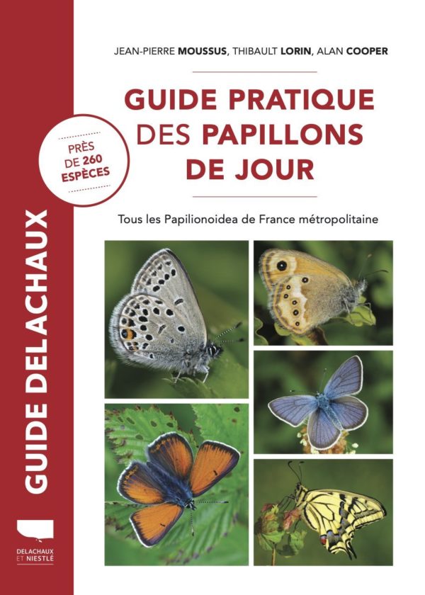 9782603029152-guide-pratique-des-papillons-de-jour