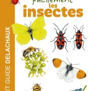 9782603031179-reconnaitre-facilement-les-insectes