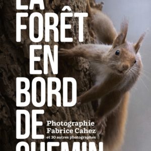 9782603030196-la-foret-en-bord-de-chemin