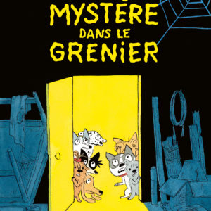 9782211333825-mystere-dans-le-grenier