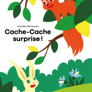 9782490975761-cache-cache-surprise-