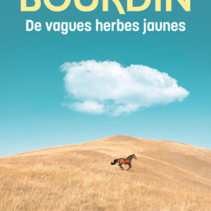 9782385770099-de-vagues-herbes-jaunes