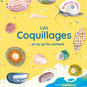 9781838668044-les-coquillages--et-ce-quils-cachent