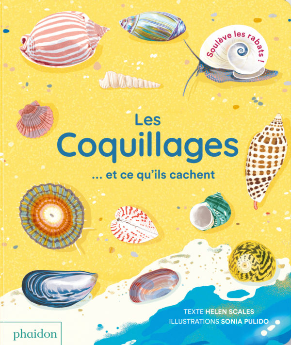 9781838668044-les-coquillages--et-ce-quils-cachent