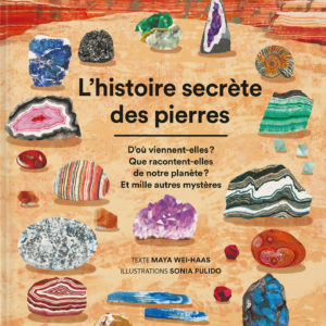 9781838668013-lhistoire-secrete-des-pierres