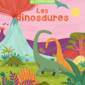 9782378791063-mon-cahier-de-coloriage--les-dinosaures