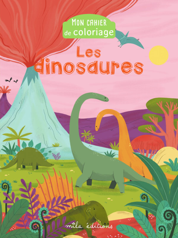 9782378791063-mon-cahier-de-coloriage--les-dinosaures