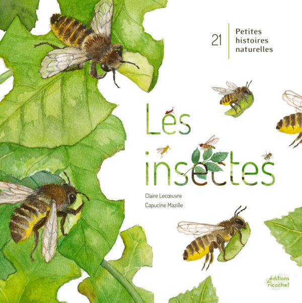 9782352632801-les-insectes-