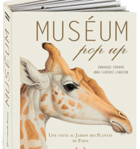 9782361935672-museum-pop-up