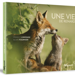 9782874895555-une-vie-de-renard