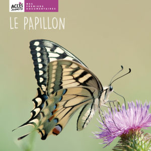 9782383210627-le-papillon