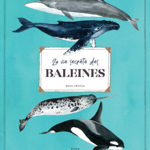 9782383221128-la-vie-secrete-des-baleines