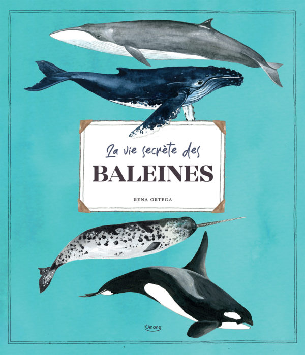 9782383221128-la-vie-secrete-des-baleines