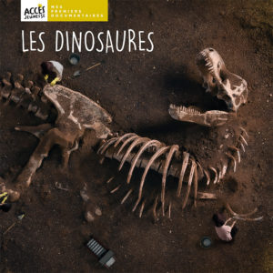 9782383210962-les-dinosaures