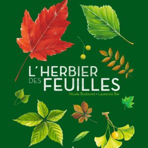 9782408016463-lherbier-des-feuilles