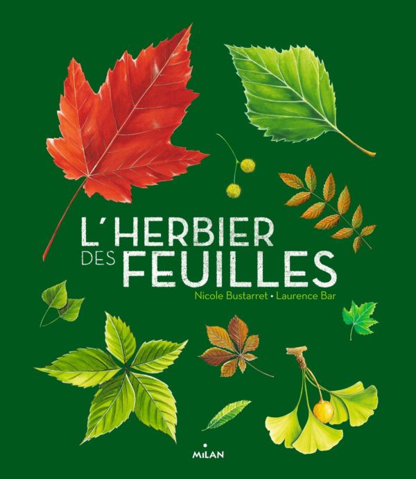 9782408016463-lherbier-des-feuilles